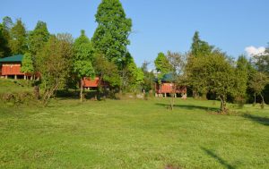 Accommodations at Kalsee Eco lodge