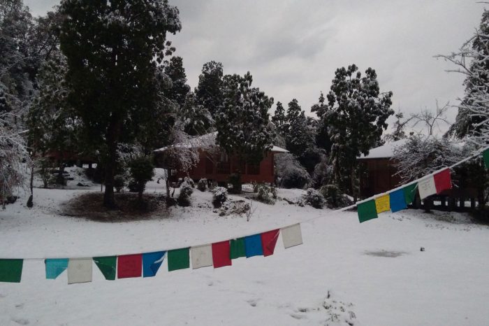 Lodge area after snow