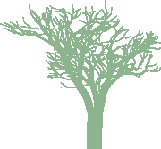 icon tree kalsee eco-lodge