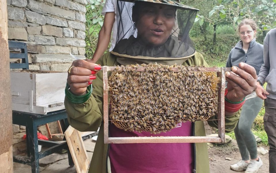 Bee keeping training given by KEL to local women