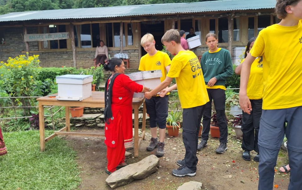 beehive distribution at Kalsee Eco-lodge