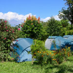 Blue camping tents set up among greenery and flowering plants with mountains in the distance under a bright blue sky.